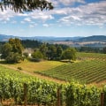 Savoring Jerky And Wine In Willamette Valley: A Unique Regional Experience