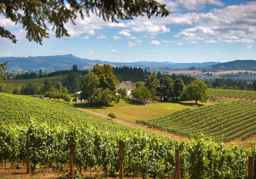 Savoring Jerky And Wine In Willamette Valley: A Unique Regional Experience